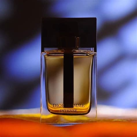 myer dior homme|dior perfume myer.